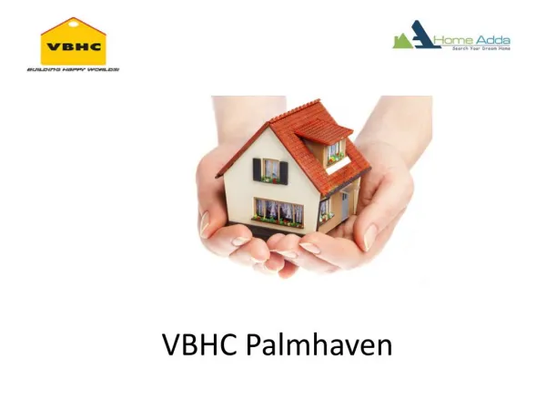 VBHC Palmhaven
