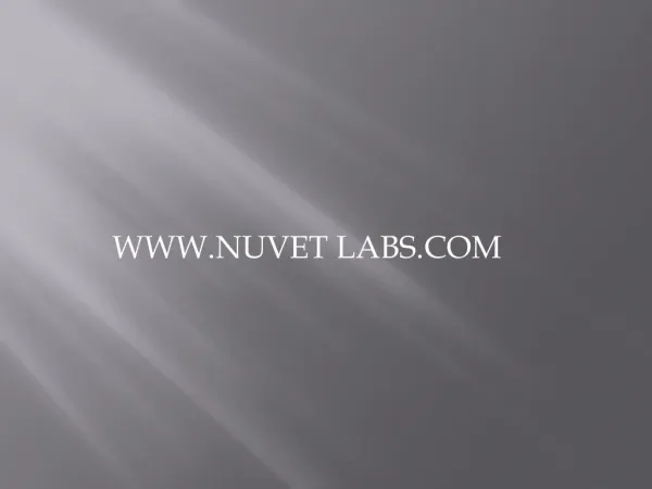 NuVet Reviews: Dogs with Seizures See Relief with NuVet Plus