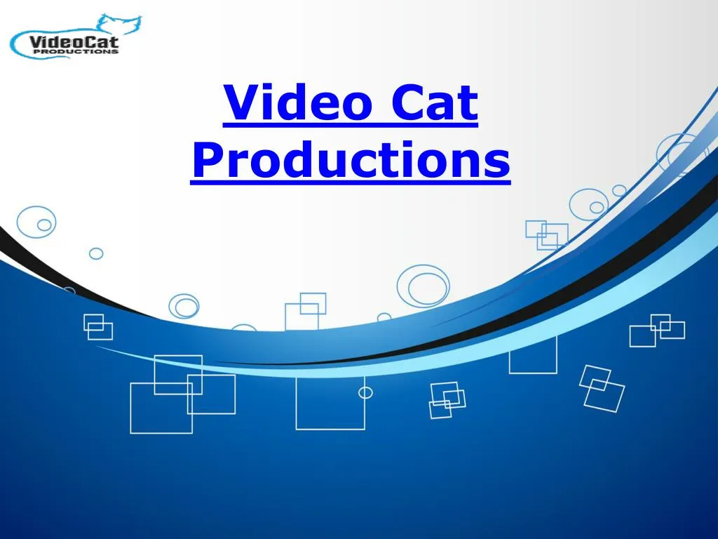 video cat productions