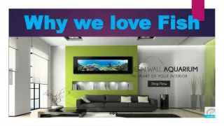 Wall Mounted Aquarium - slide 1