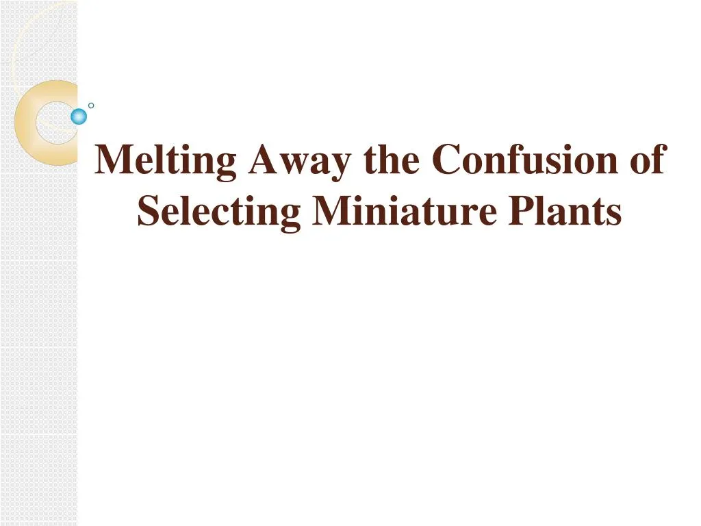 melting away the confusion of selecting miniature plants