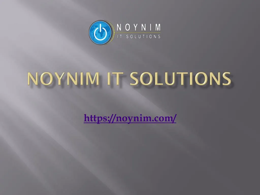 noynim it solutions