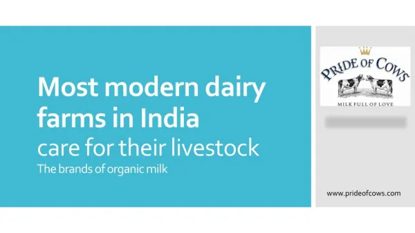 Most modern dairy farms in India care for their livestock