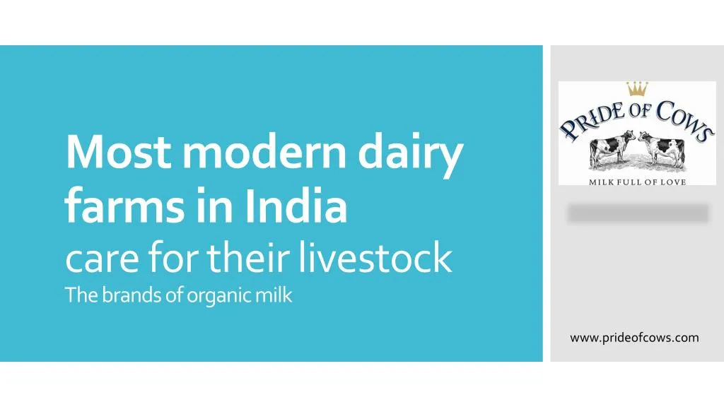 most modern dairy farms in india care for their livestock the brands of organic milk