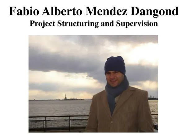 Fabio Alberto Mendez Dangond Project Structuring and Supervision