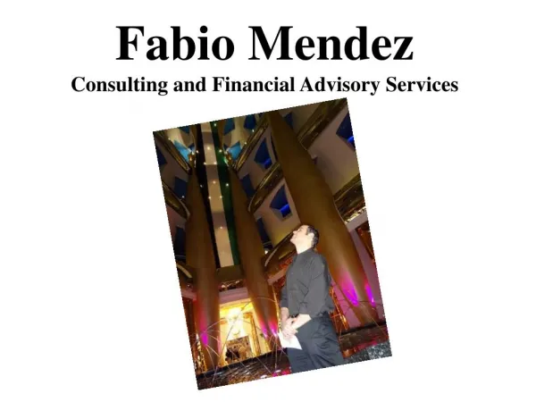 Fabio Mendez Consulting and Financial Advisory Services
