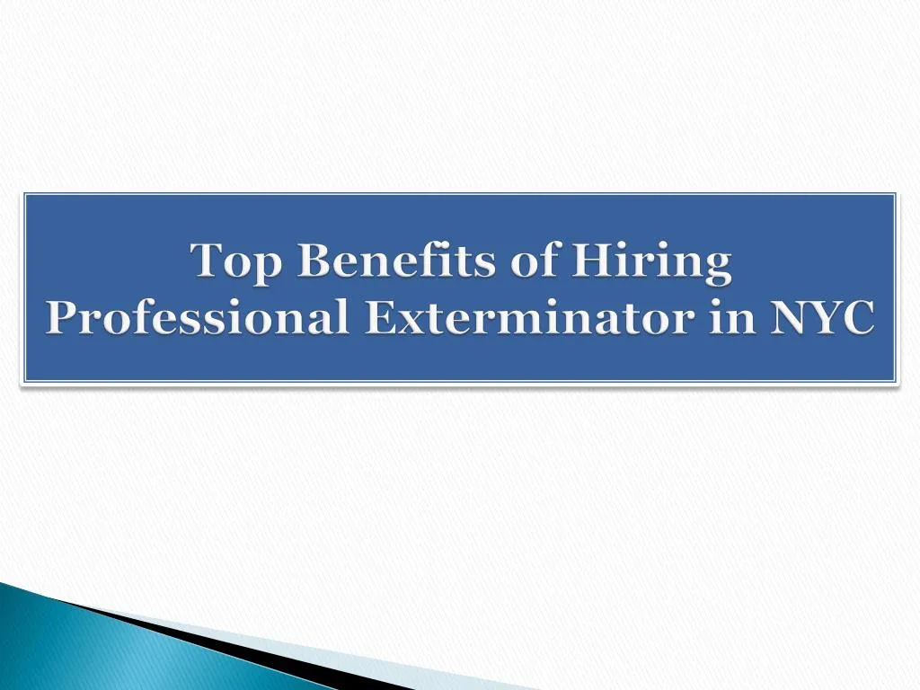 top benefits of hiring professional exterminator in nyc
