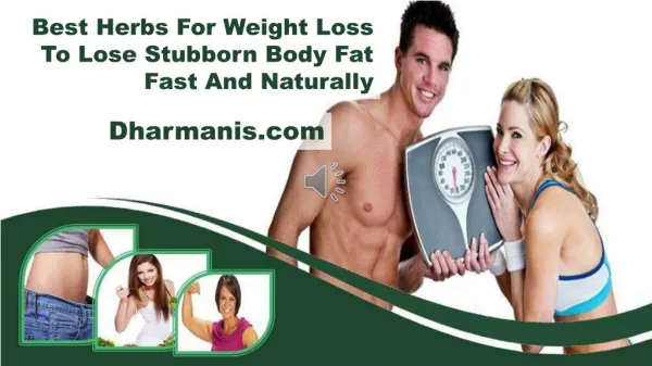 Best Herbs For Weight Loss To Lose Stubborn Body Fat Fast And Naturally