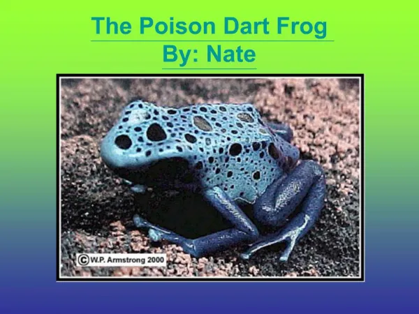 The Poison Dart Frog By: Nate