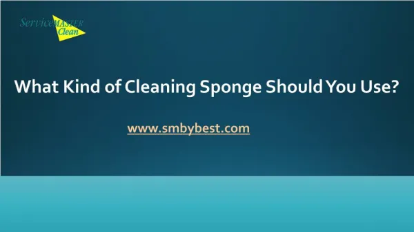 What Kind Of Cleaning Sponge Should You Use?