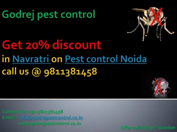 Get 20% discount in Navratri on Pest control Noida