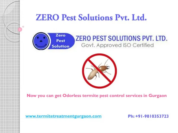 Get 20% off on odorless termite pest control services in Gurgaon