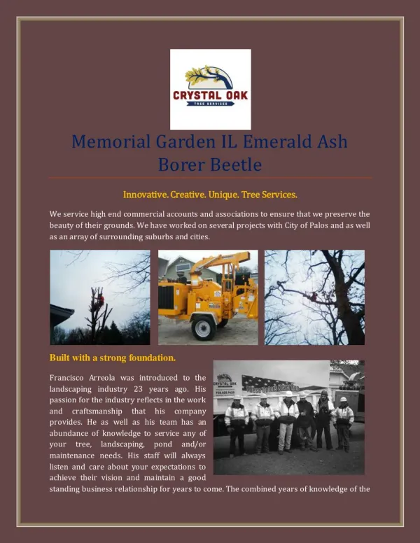 Memorial Garden IL Emerald Ash Borer Beetle