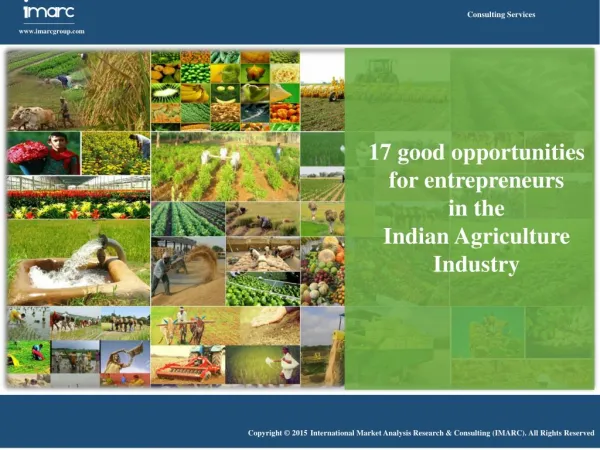 Indian Agriculture Industry Opportunities for Entrepreneurs