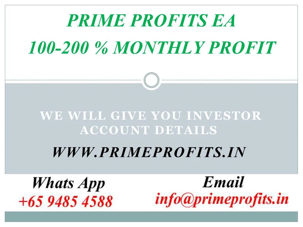 prime profits ea 100 200 monthly profit