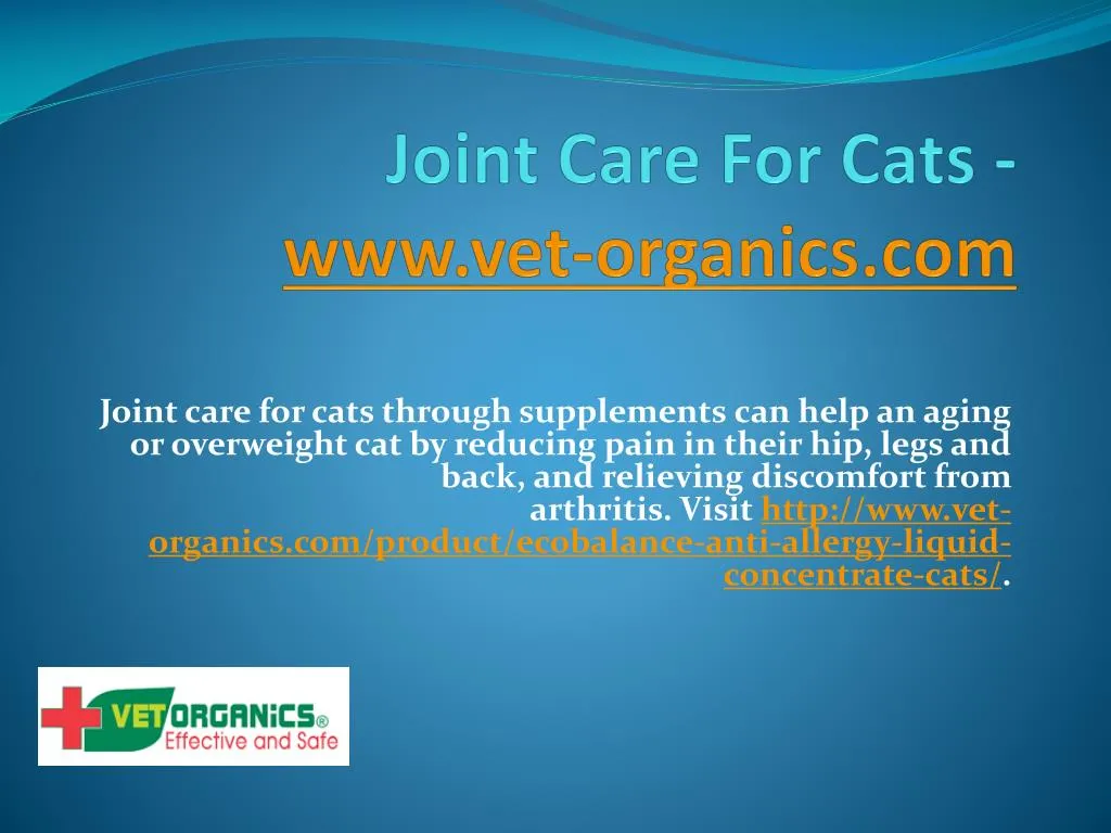joint care for cats www vet organics com