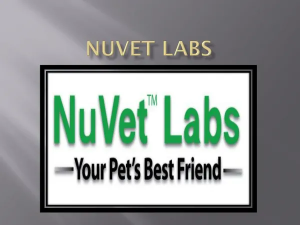 NuVet Reviews|Pets Welcome: Hotel Pet-iquette for Traveling with Your Dog