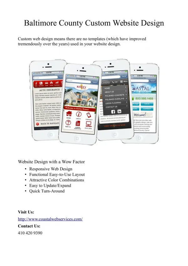 Baltimore County Custom Website Design