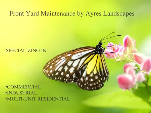 Front yard maintenance by ayres landscapes