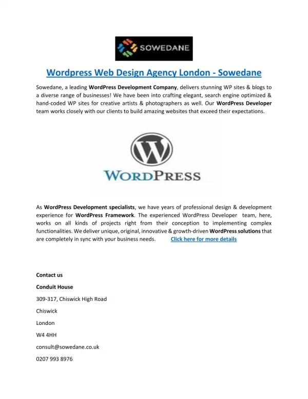 Wordpress Web Design Agency London - Sowedane