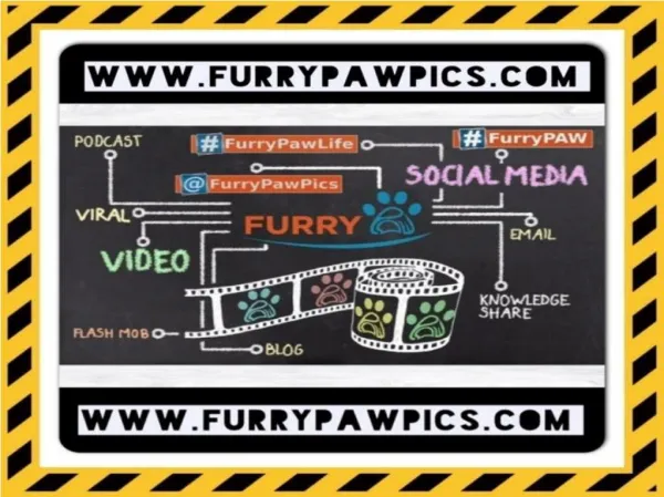 Furry Paws- Custom Pet Art & Portraits, Pet Boutique