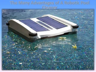 The Many Advantages of A Robotic Pool Cleaner - slide 1