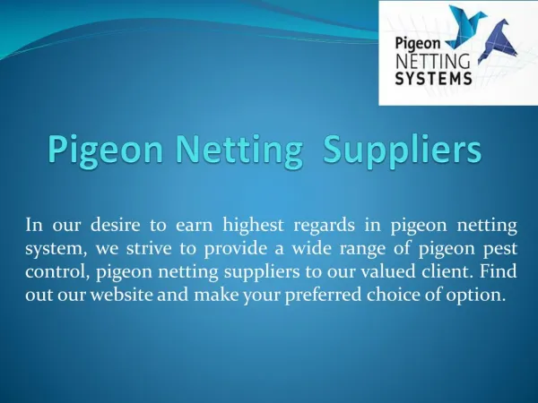 Pigeon Netting Suppliers