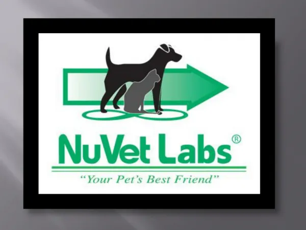 NuVet Reviews|Doggie Playground: Maintaining a Pet-Friendly Yard