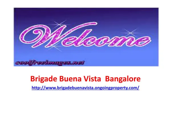 Brigade Buena Vista Pre Launch