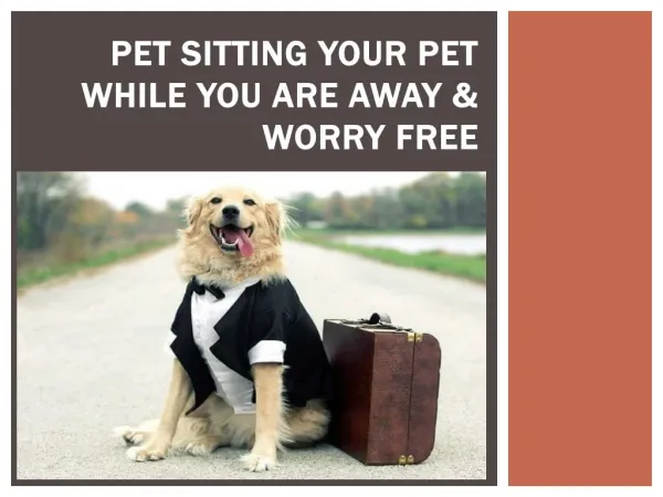 Pet Sitting your pet while you are away & worry free