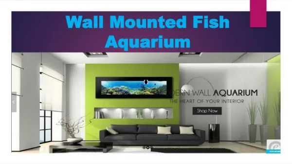 Wall Mounted Fish Aquarium