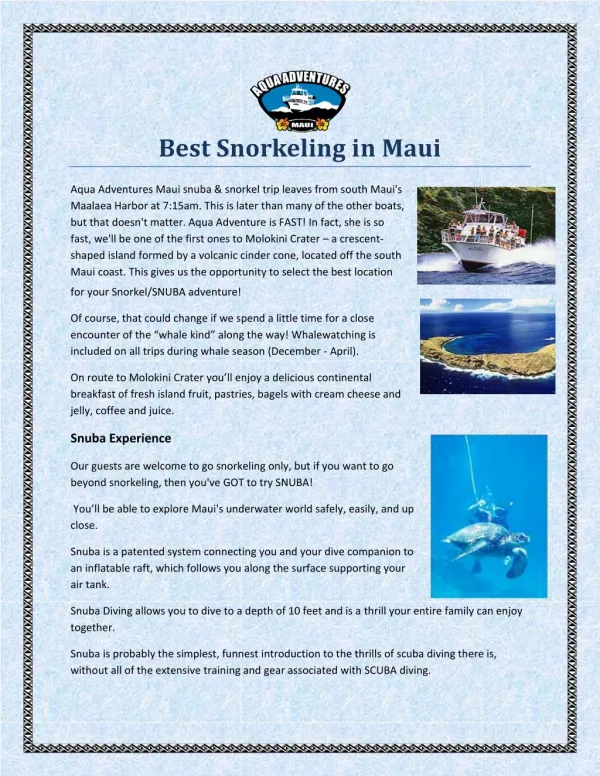 Best Snorkeling in Maui