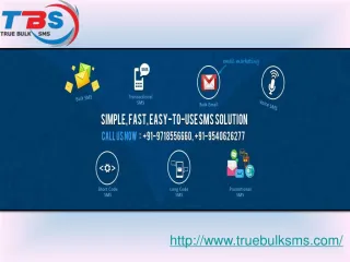 True Bulk SMS - slide 1