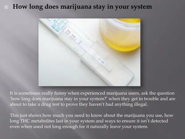 How long does marijuana stay in your system