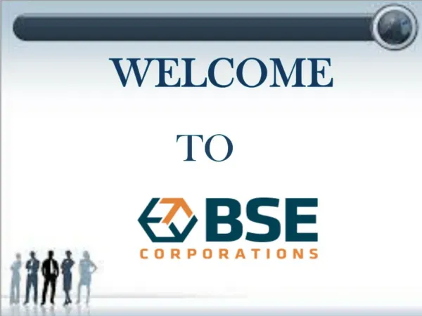 BSE Corporations-Management Consulting Services