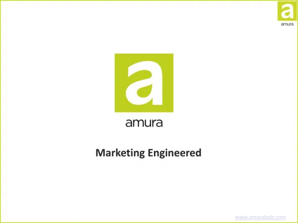 Amura Marketing Technologies - Digital Marketing Agency