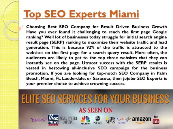 Top SEO Experts Miami