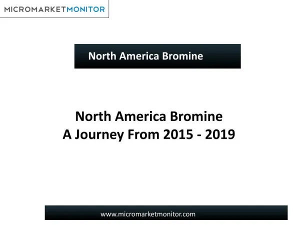 North America Bromine Market-Trends & Forecasts 2019