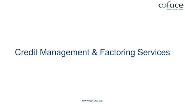 Credit Management and Factoring Services