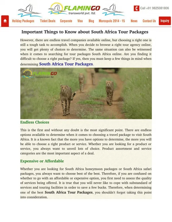Important Things to Know about South Africa Tour Packages