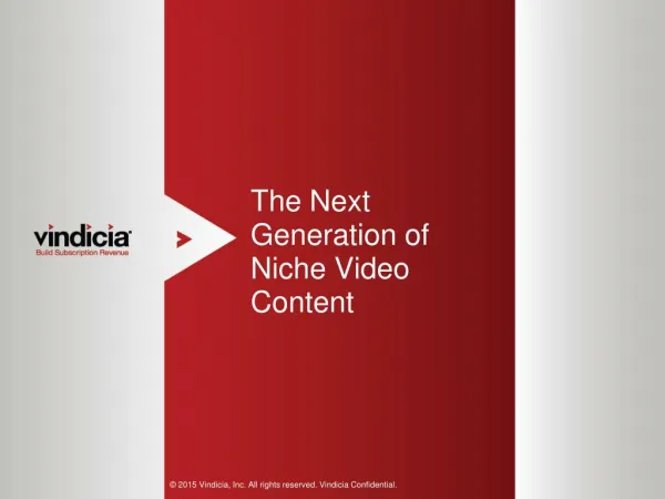 The Next Generation of Niche Video Content - Vindicia