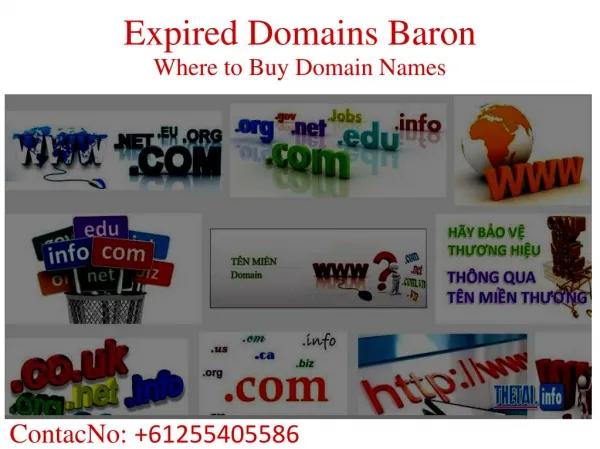 Expired Domains Baron - How to Buy an Expired Domain