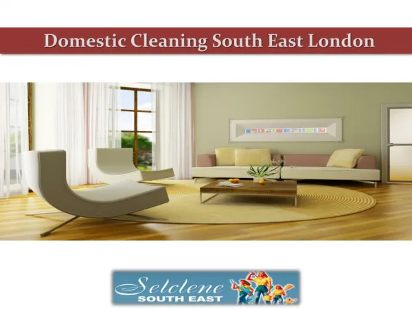 Phenomenal Domestic Cleaner in South East London