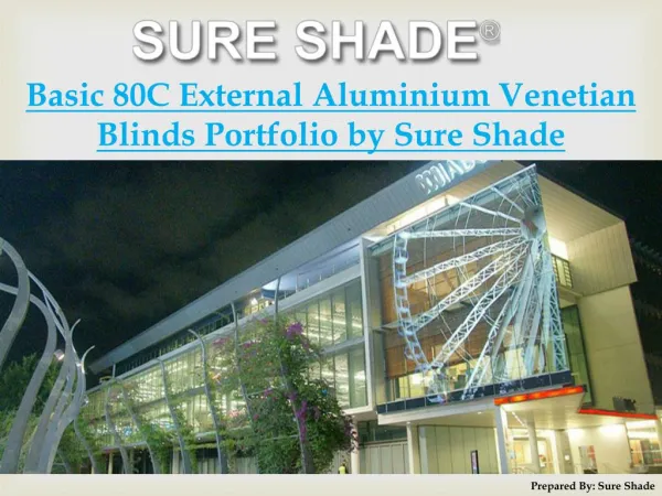Basic 80C External Aluminium Venetian Blinds Portfolio by Sure Shade