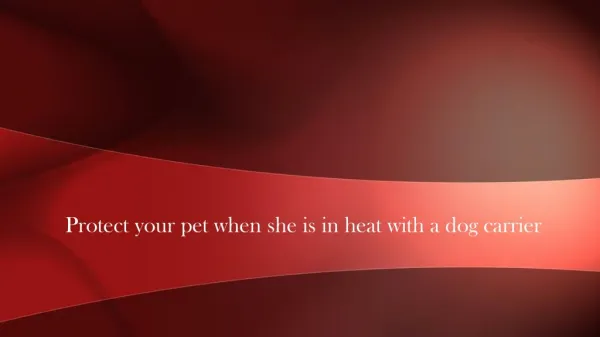 Protect your pet when she is in heat with a dog carrier