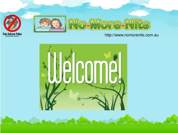 No more nits for Head Lice Removal | Nits Removal & Treatment