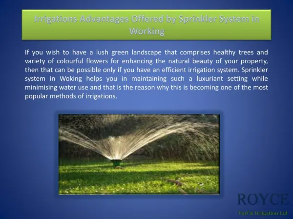 Irrigations Advantages Offered by Sprinkler System in Working