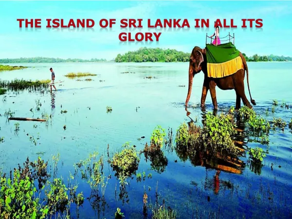 The Island of Sri Lanka in All its Glory - Thomas Cook