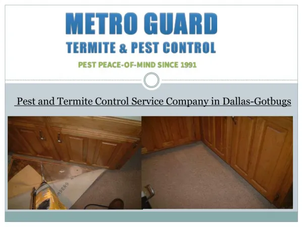 Pest and Termite Control Service Company in Dallas-Gotbugs