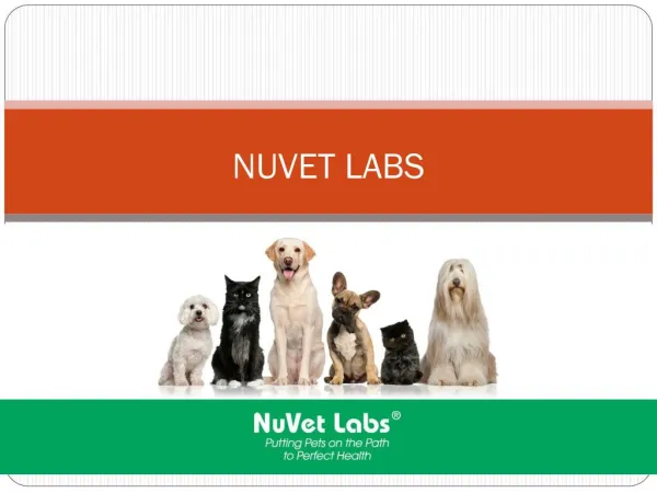 NuVet Labs | Signs Your Dog is Eating Too Much